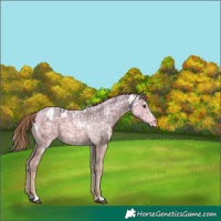 Horse Color:White Spotted Liver Chestnut Ice Varnish 