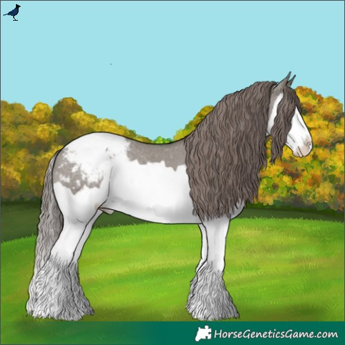 Horse Color:Grullo Splash Snowcap 
