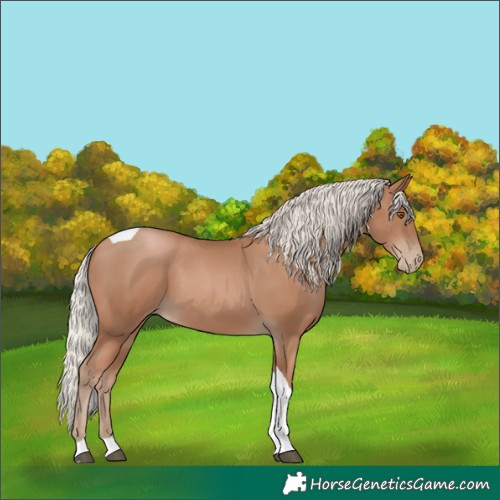 Horse Color:Silver Black Pearl Tobiano 