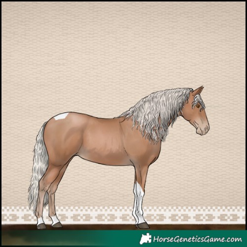 Horse Color:Silver Black Pearl Tobiano 