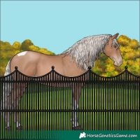 Horse Color:Silver Black Pearl Tobiano 