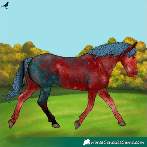 Horse Color:ERROR: UNKNOWN ANOMALY