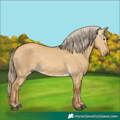 Horse Color:Gray Palomino Dun