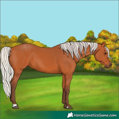 Horse Color:Silver Bay