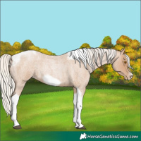 Horse Color:Silver Blue Roan Pearl Tobiano Frame 