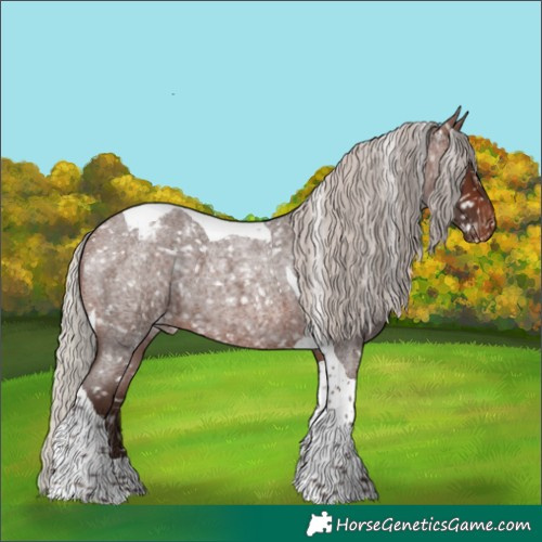 Horse Color:Silver Brown Roan Tobiano Appaloosa 