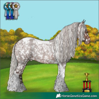 Horse Color:Silver Brown Roan Tobiano Appaloosa