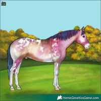 Horse Color:Painted Bay Onyx Tobiano Varnish 