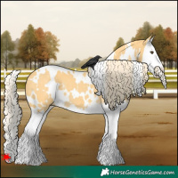 Horse Color:White Spotted Palomino Dun Splash