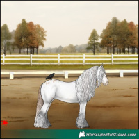 Horse Color:White Spotted Bay Dun Varnish 