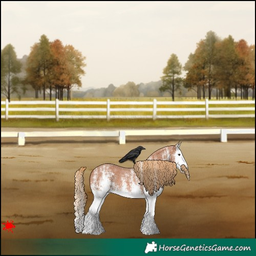 Horse Color:White Spotted Red Roan Splash 