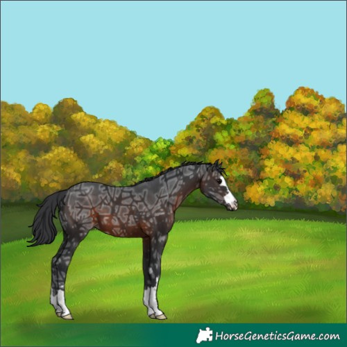 Horse Color:Brown Ice