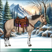 Horse Color:Bay Dun Tobiano 