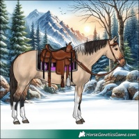 Horse Color:Bay Dun Tobiano