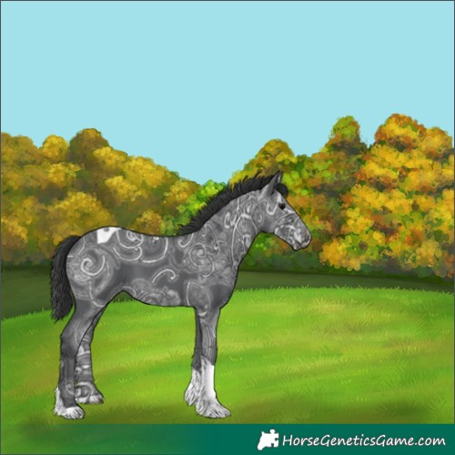 Horse Color:Black Ice Tobiano 