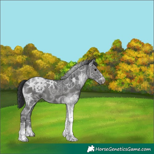 Horse Color:Black Ice Tobiano 