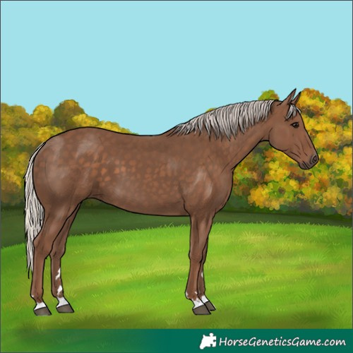 Horse Color:Silver Black 