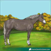 Horse Color:Silver Black 