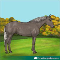 Horse Color:Silver Black 