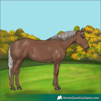 Horse Color:Silver Black 
