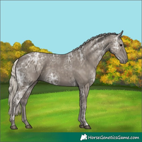 Horse Color:Silver Smoky Black Ice 