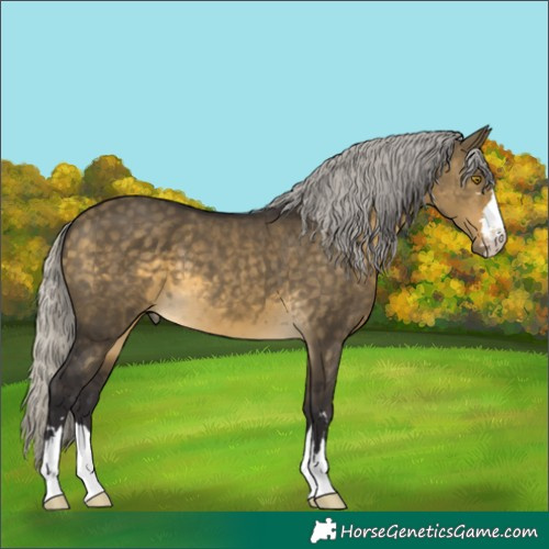 Horse Color:Silver Buckskin Dun 