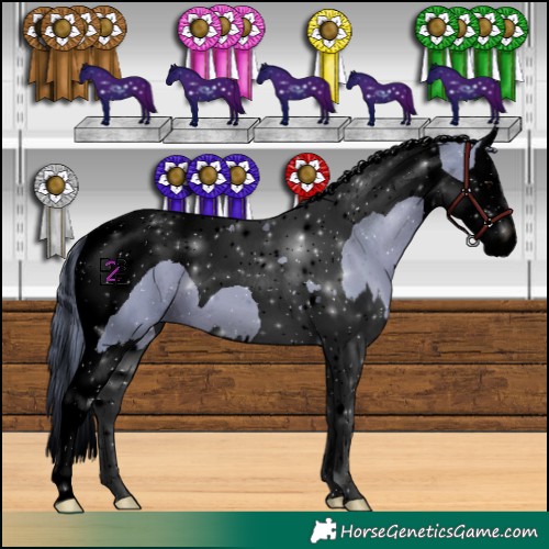 Horse Color:Void Watercolor Black Splash Tobiano