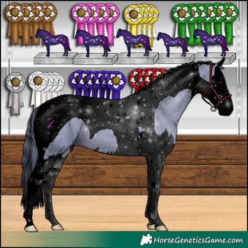 Horse Color:Void Watercolor Black Splash Tobiano