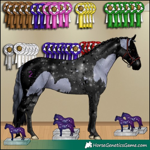 Horse Color:Void Watercolor Black Splash Tobiano