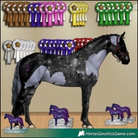 Horse Color:Void Watercolor Black Splash Tobiano 