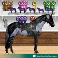 Horse Color:Void Watercolor Black Splash Tobiano