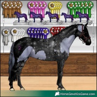Horse Color:Void Watercolor Black Splash Tobiano 