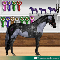 Horse Color:Void Watercolor Black Splash Tobiano