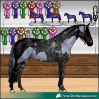 Horse Color:Void Watercolor Black Splash Tobiano 