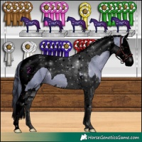 Horse Color:Void Watercolor Black Splash Tobiano 