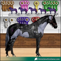 Horse Color:Void Watercolor Black Splash Tobiano 