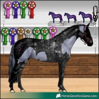 Horse Color:Void Watercolor Black Splash Tobiano