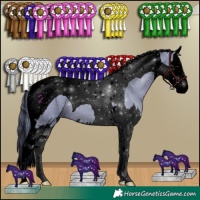 Horse Color:Void Watercolor Black Splash Tobiano