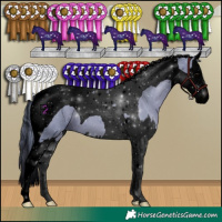 Horse Color:Void Watercolor Black Splash Tobiano 