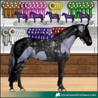 Horse Color:Void Watercolor Black Splash Tobiano 