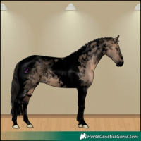 Horse Color:Void Brown Dun Tobiano 