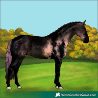Horse Color:Void Watercolor Bay Dun Sabino Tobiano