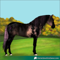 Horse Color:Void Watercolor Bay Dun Sabino Tobiano 