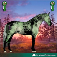 Horse Color:Void Watercolor Silver Grullo Chinchilla Tobiano