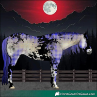 Horse Color:Void Watercolor Plaid  Brown Onyx Splash Tobiano Rabicano 