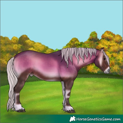 Horse Color:Silver Brown Onyx 