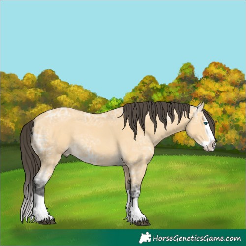Horse Color:Buckskin Ice Splash 