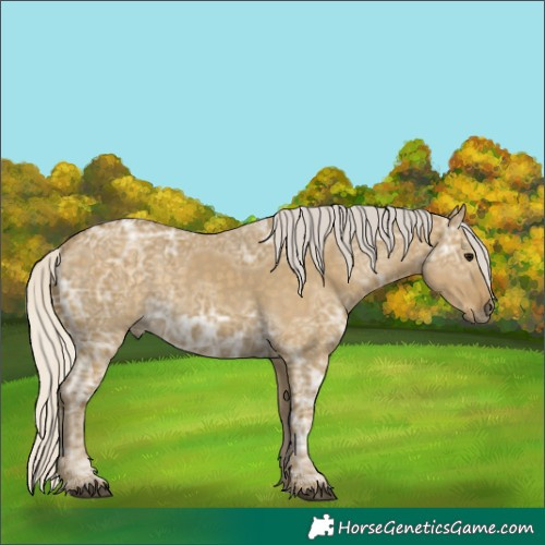 Horse Color:Silver Smoky Grullo Ice 