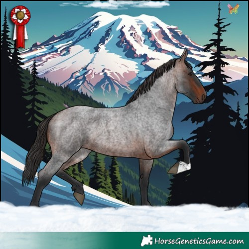 Horse Color:Brown Roan 