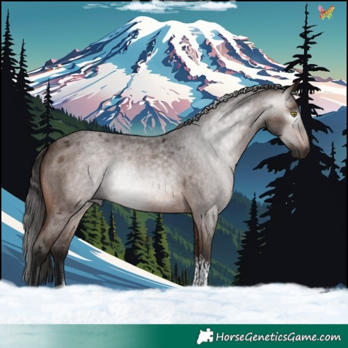 Horse Color:Gray Bay Roan Tobiano Rabicano 